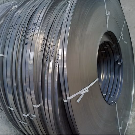 AISI Hot Sale Cold/Hot Rolled 321 304L 430 201 316 Stainless Steel Coil/Strip Low Price