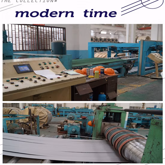 AISI Hot Sale Cold/Hot Rolled 321 304L 430 201 316 Stainless Steel Coil/Strip Low Price